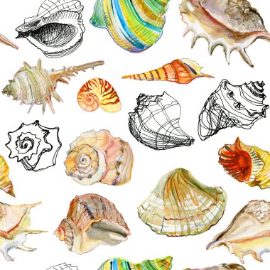 Deniz kabukları ile suluboya desen