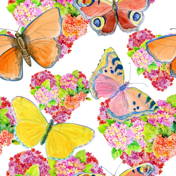 Mariposas de verano fondo — Foto de Stock