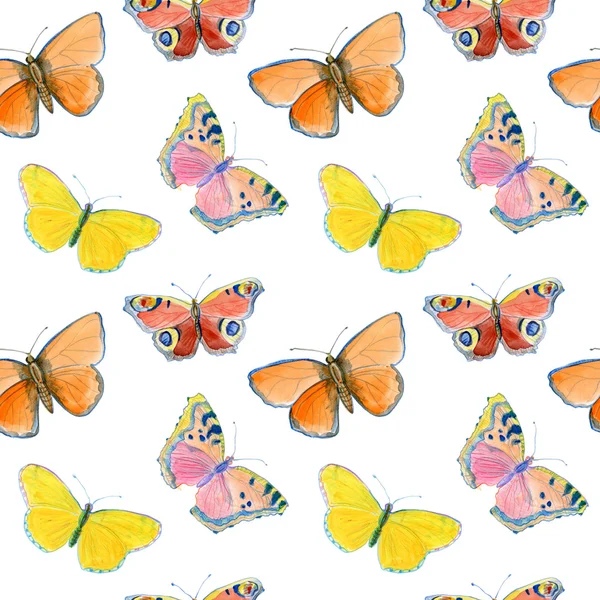 Zomer vlinders achtergrond — Stockfoto
