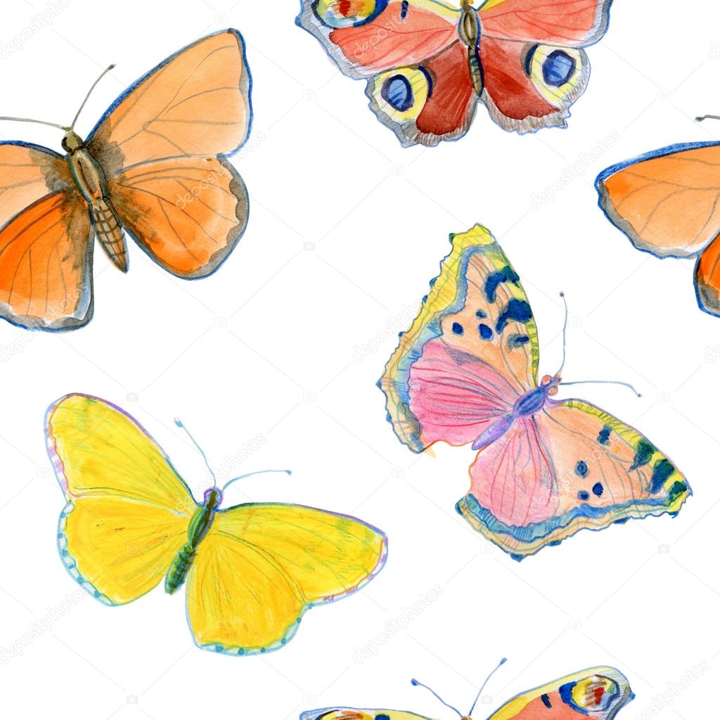 summer  butterflies background