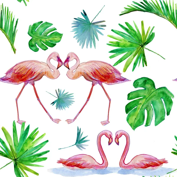 Păsări flamingo roz — Fotografie, imagine de stoc