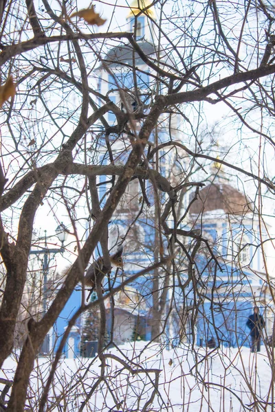 Moskova Rusya Daki Tsaritsyno Parkı Nın Tarihsel Yapısını Kopyalamak Bulanıklaştırmak — Stok fotoğraf