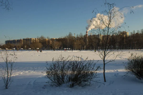 Winter landscape-snowy plain and bare trees and soaring chimney on a frosty sunny day and space to copy in a city park