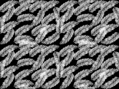 Vektör grafikleri. Güzel tüyleri rastgele dağılmış siyah beyaz desenler. Doğal bitki süsü konsepti