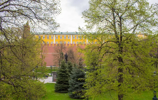 View Alexander Garden Its Beautiful Green Trees Red Brick Kremlin — Stock Photo, Image