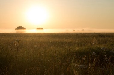 Ufuktaki altın gündoğumu sisli bir yaz sabahında geniş bir çayırın üzerinde. Kopyalama için kavramsal-doğal arkaplan ve Yumuşak odak ve boşluk