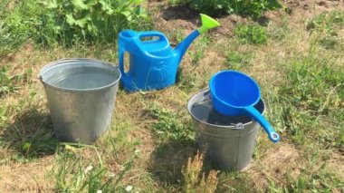 Sıcak ve güneşli bir yaz gününde bahçedeki yeşil çimlerin üzerinde duran temiz su ve mavi plastik bir su kovaları. Bahçıvanlık kavramı