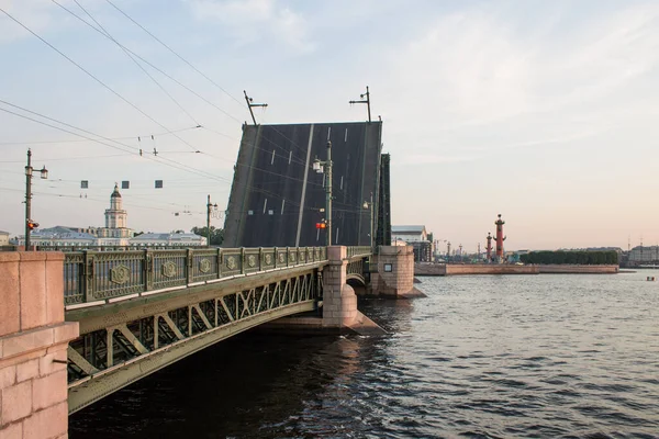 Petrohrad Rusko Červenec 2021 Zředěný Palácový Most Výhled Univerzitní Nábřeží — Stock fotografie