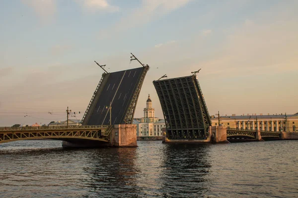 Petersburg Rosja Lipiec 2021 Rozrzedzony Most Pałacowy Widok Wału Uniwersyteckiego — Zdjęcie stockowe