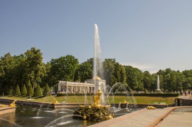 Merkezi çeşme Peterhof Parkı 'nın ana ilgi odağı. Samson' ın altın heykeli, açık bir yaz gününde Rusya 'da aslanın ağzını yırtıyor.