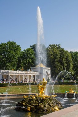 Merkezi çeşme Peterhof Parkı 'nın ana ilgi odağı. Samson' ın altın heykeli, açık bir yaz gününde Rusya 'da aslanın ağzını yırtıyor.
