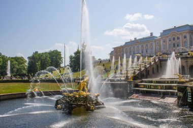 Merkezi çeşme Peterhof Parkı 'nın ana ilgi odağı. Samson' ın altın heykeli, açık bir yaz gününde Rusya 'da aslanın ağzını yırtıyor.