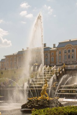 Peterhof Parkı, lüks Petrodvoretler, altın çeşmeler ve çiçeklerle dolu, güneşli bir yaz gününde St. Petersburg Rusya 'da.