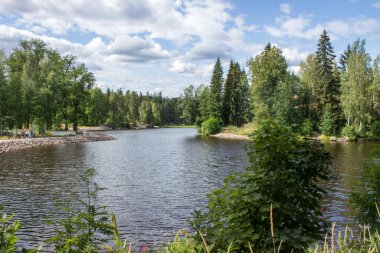 Güneşli bir yaz gününde Rusya 'daki Monrepos Parkı' nda yeşil ağaçlar ve çimlerle kaplı güzel bir manzara Vyborg Körfezi.