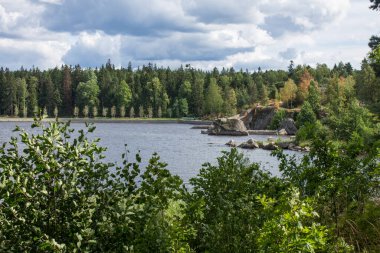 Güneşli bir yaz gününde Rusya 'daki Monrepos Parkı' nda yeşil ağaçlar ve çimlerle kaplı güzel bir manzara Vyborg Körfezi.