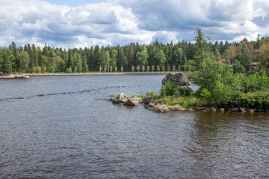 Güneşli bir yaz gününde Rusya 'daki Monrepos Parkı' nda yeşil ağaçlar ve çimlerle kaplı güzel bir manzara Vyborg Körfezi.
