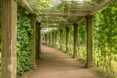 PUSHKIN, Leningrad REGION, RUSSIA-JULY, 20, 2021: Bir yaz günü Tsarskoye Selo 'daki Catherine Park' taki tünelde yeşil bir çit