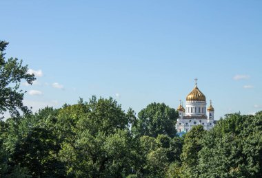 Kurtarıcı İsa Katedrali, ağaçların yeşil yaprakları arasında altın bir kubbe ile güneşli bir yaz gününde Moskova 'da açık mavi gökyüzüne karşı ve kopyalamak için bir alan.