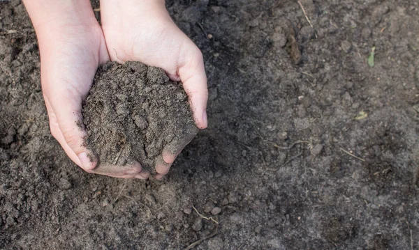 Dos Palmas Humanas Primer Plano Sostienen Tierra Marrón Espacio Para —  Fotos de Stock