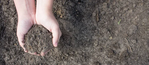 Dos Palmas Humanas Primer Plano Sostienen Tierra Marrón Espacio Para —  Fotos de Stock