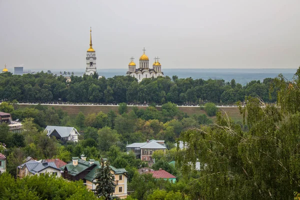 ロシアのウラジーミル 2021年8月11日 曇った夏の日に旧市街の家 仮定大聖堂と木の緑豊かな緑の葉の屋根のパノラマビュー — ストック写真