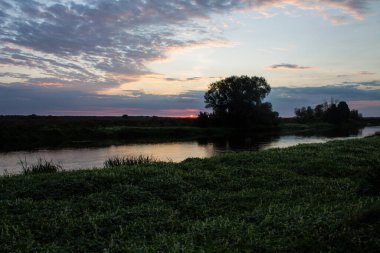 Güzel dramatik gün doğumu - güneş bulutlu bir gökyüzü ve kıyıdaki karanlık ağaç siluetleri üzerinde yükseliyor