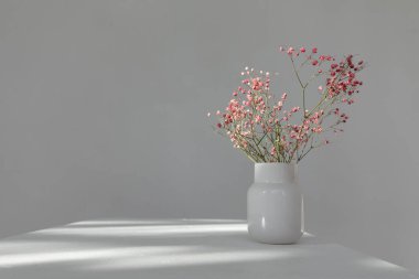 Beyaz arka planda güneş ışınları altında silindirik cam vazoda kurumuş pembe çiçeklerin minimalist bileşimi