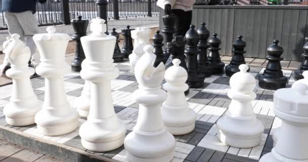 Giant chess on a large chessboard of the children playground — Stock Video