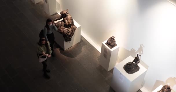 Visitantes do museu usavam máscaras faciais fazendo um passeio na exposição de estátuas — Vídeo de Stock