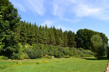 Batı Ukrayna'nın doğa manzara