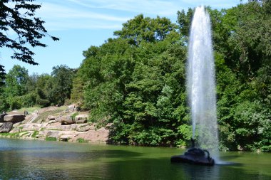Karpatlar 'daki dağ nehri