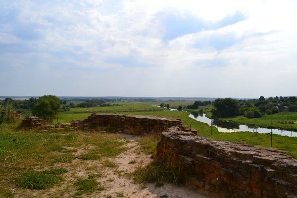 Karpatlar 'daki dağ nehri
