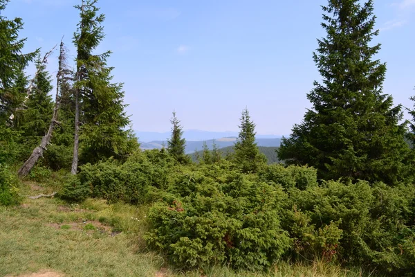 Karpat manzara doğa