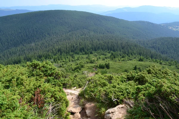 Carpathian Landscape Nature — Stock Photo, Image