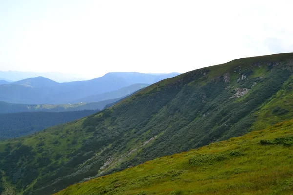 Paesaggio Carpazio Natura — Foto Stock