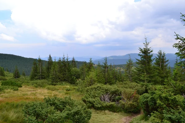 Karpat manzara doğa