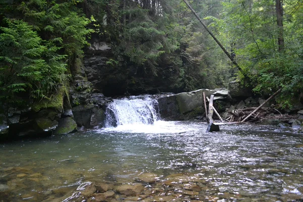 Gebirgskarpaten-Fluss im Westen der Ukraine — Stockfoto