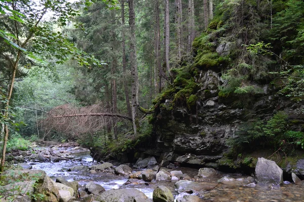 Карпатської гірської річки на заході України — стокове фото