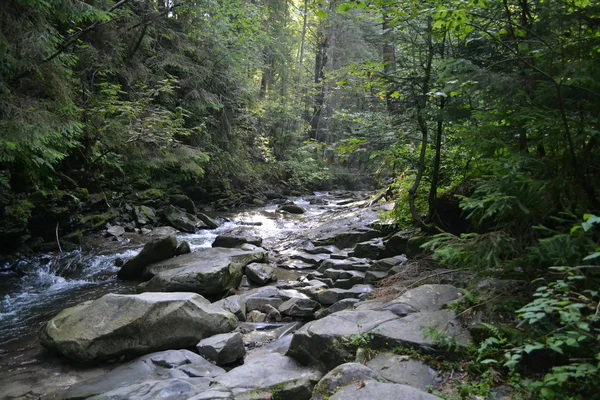 Ukrayna'nın batısında Karpat nehir dağ