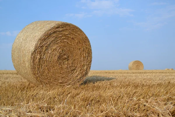 Haystack sur le terrain — Photo