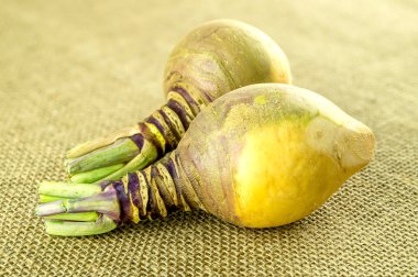 Makro bir mevsimlik İsveçli şalgam sebze