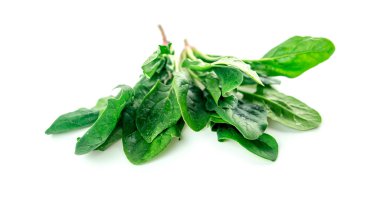 Organic nutritious salad spinach clipart