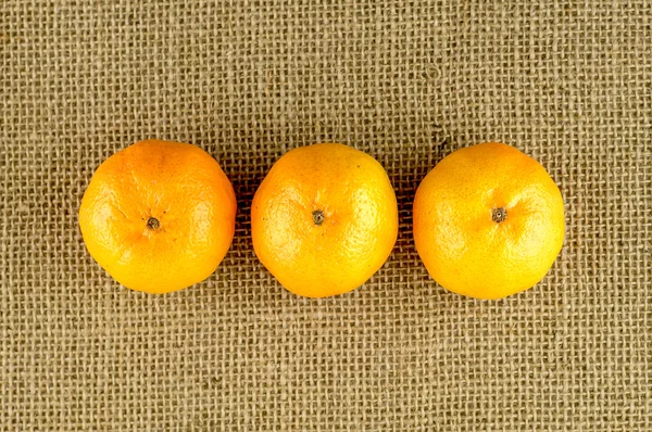 Fila de laranjas suculentas e suculentas — Fotografia de Stock