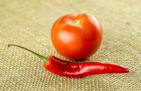 Red spicy chili and succulent tomato ingredients — Stock Photo, Image