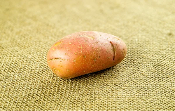 Красный картофель понтиак на гессенском фоне — стоковое фото