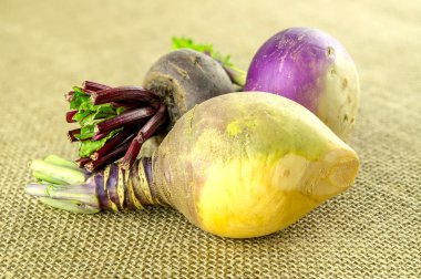 Bej renkli İsveçli ve diğer çiftlik taze şalgam