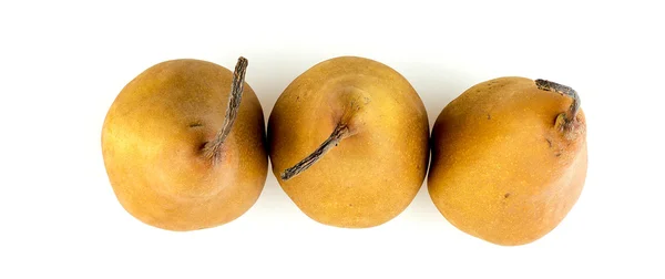 Aerial view of three bosc pears with long stems — Stock Photo, Image