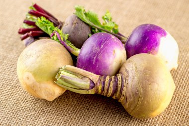Variety of root vegetables including swedes, turnips and beetroo clipart