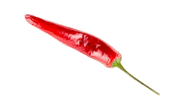 Teplé a pikantní chilli na bílém pozadí — Stock fotografie