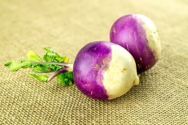 Soğanlı Indigo ve beyaz şalgam renkli